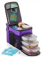Bossa refrigeradora aïllada amb 3 compartiments